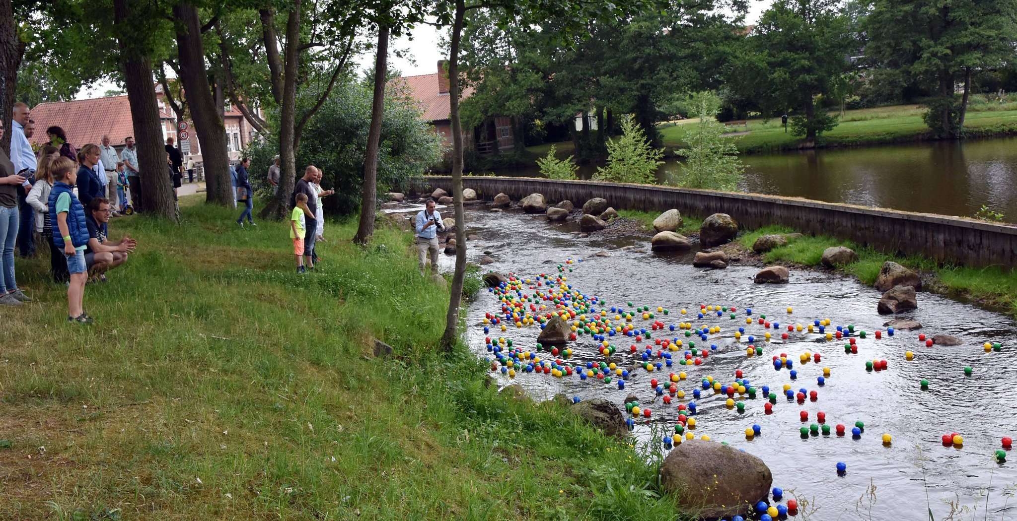 Von der Sohlgleite bis zum Zielpunkt im Dionysius-Park bahnten sich die bunten Bälle ihren Weg im Wasser der Oste. Foto: Heidrun Meyer