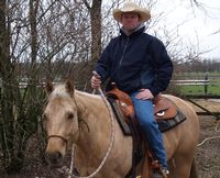 Jens Stemminger mit seinem sechsjährigen Palomino-Wallach Addi  Foto: Mertins