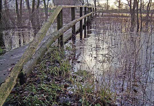   Bei Hochwasser präsentiert sich der Bartelsdorfer Kirchsteg besonders reizvoll und mystisch