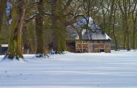 Winterzauber in Niedersachsen Das sind die verborgenen Schätze zwischen den Feiertagen