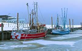 Nordsee im Winter Hier liegen die verborgenen Perlen der Küste